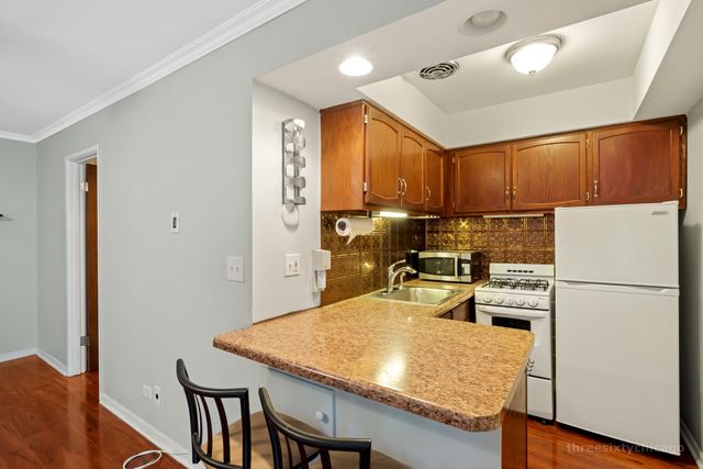 3620 N Pine Grove Avenue 210, Chicago, IL 60613