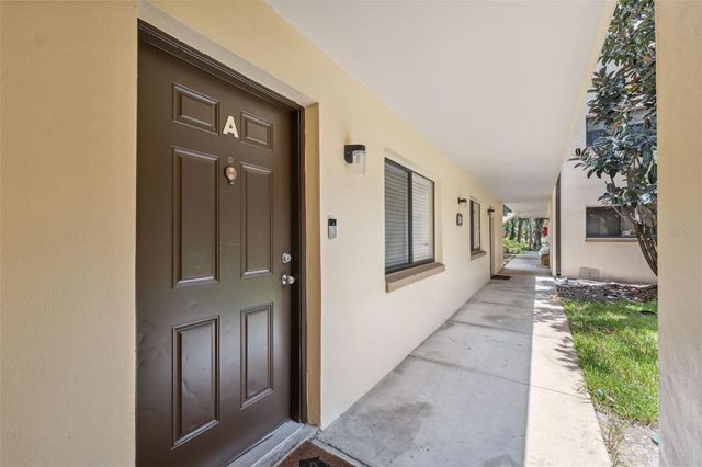 11809 RAINTREE LAKE LANE A, Tampa, FL 33617