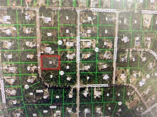 6005 N Oakmont Drive, Beverly Hills, FL 34465