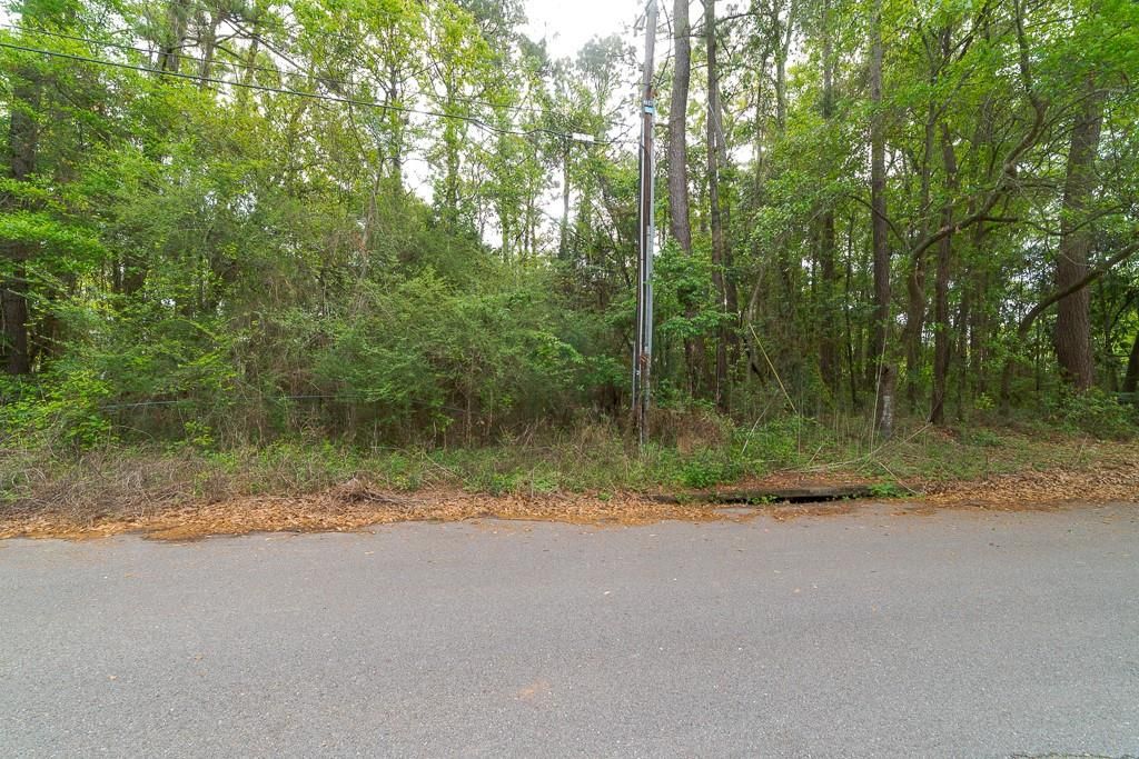 0 Worth Drive, Mobile, AL 36619 — photo 2