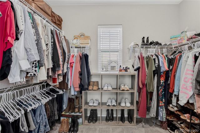 8956 Moondance Drive, Littleton, CO 80125