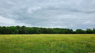 Lot 11 Pleasant View Rd, Brighton, MO 65617