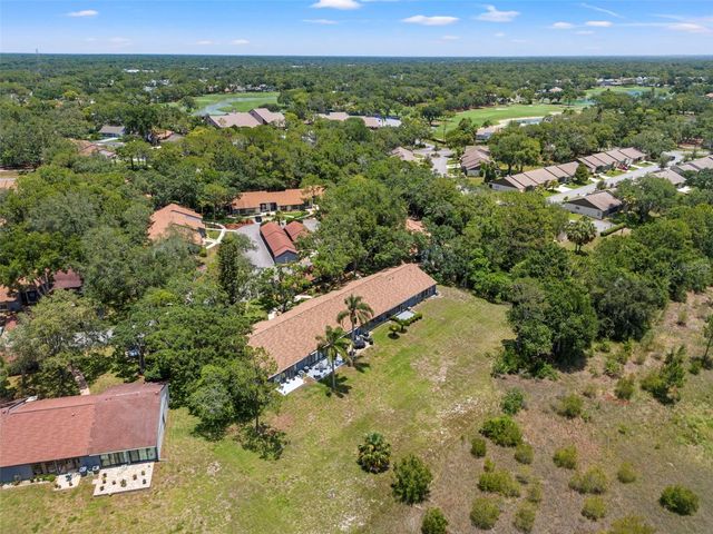 6410 NATURE PRESERVE LANE, Spring Hill, FL 34606