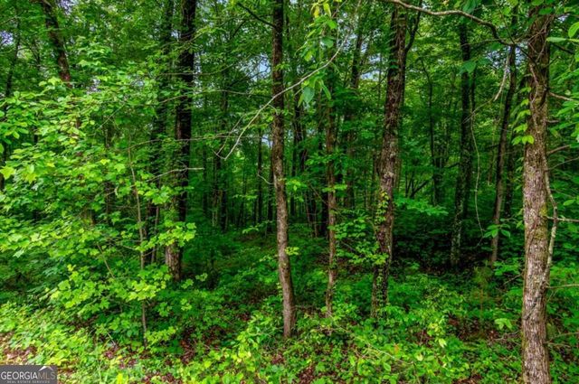 LOT 44 Harris Creek Drive 44, Ellijay, GA 30540