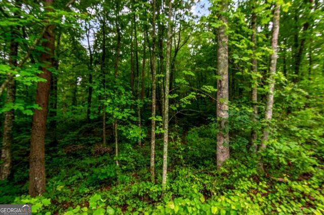LOT 44 Harris Creek Drive 44, Ellijay, GA 30540