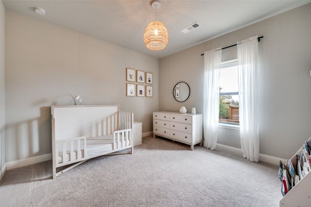 800 Star Meadow Drive, Prosper, TX 75078