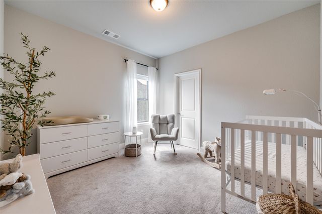 800 Star Meadow Drive, Prosper, TX 75078