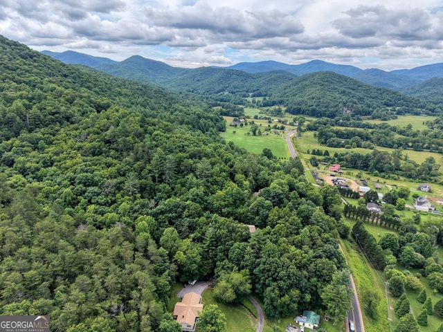 2228 Walls Mountain, Hiawassee, GA 30546