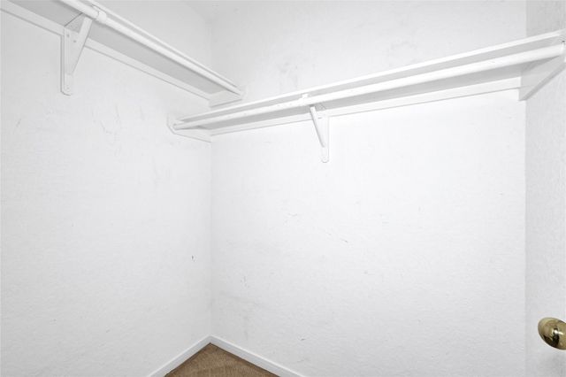 19 S Scarlet Elm Court, The Woodlands, TX 77382