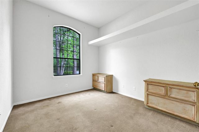 19 S Scarlet Elm Court, The Woodlands, TX 77382