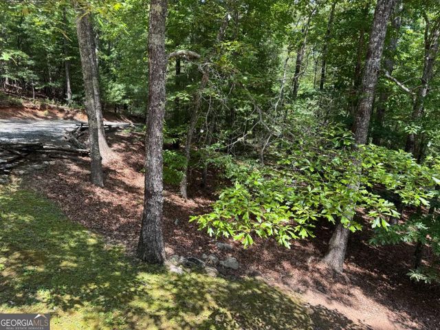 35 Big Buck Circle, Blue Ridge, GA 30513