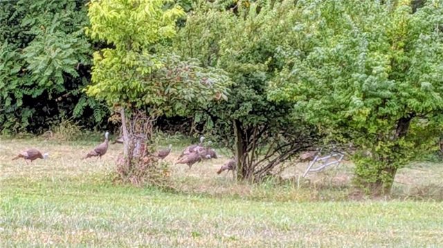 29706 E Easley Road, Lee's Summit, MO 64086