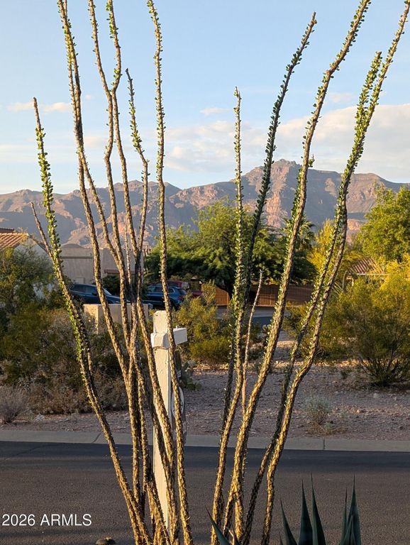 10691 E SURVEYOR Court, Gold Canyon, AZ 85118 — photo 3