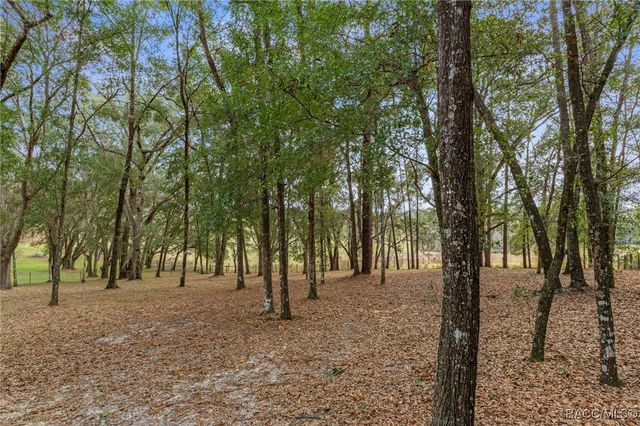 2656 E Hampshire Street, Inverness, FL 34453