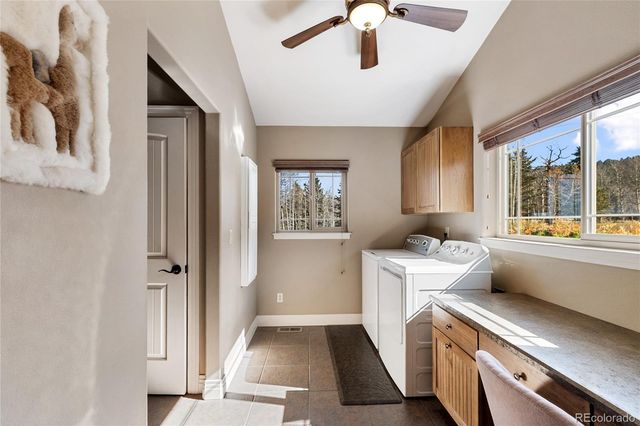 19 Worley Road, Divide, CO 80814