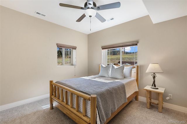 19 Worley Road, Divide, CO 80814