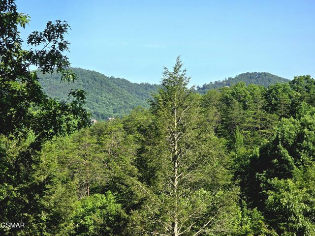 2011 Ridgecrest Loop Lane, Sevierville, TN 37876