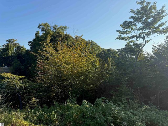 0 W Timber Wolf Court, Empire, MI 49630