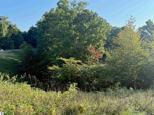 0 W Timber Wolf Court, Empire, MI 49630