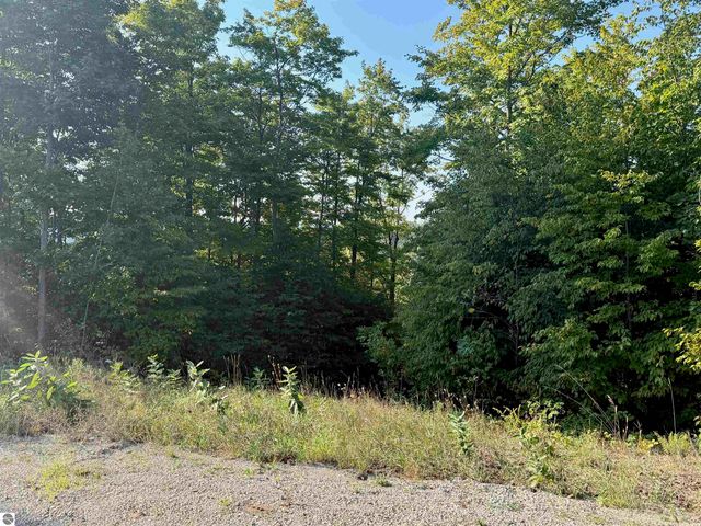 0 W Timber Wolf Court, Empire, MI 49630