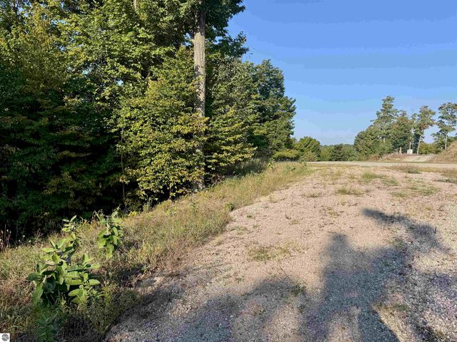 0 W Timber Wolf Court, Empire, MI 49630