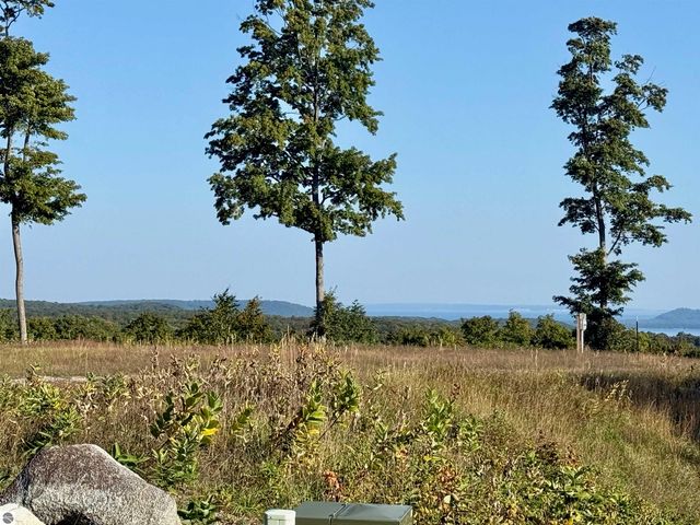 0 W Timber Wolf Court, Empire, MI 49630