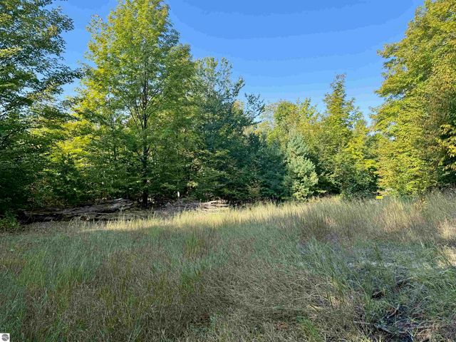 0 W Timber Wolf Court, Empire, MI 49630