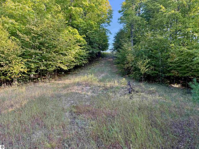 0 W Timber Wolf Court, Empire, MI 49630