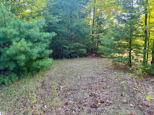 0 W Timber Wolf Court, Empire, MI 49630