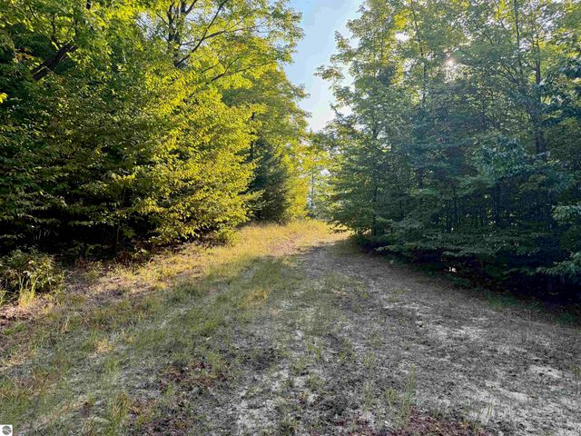 0 W Timber Wolf Court, Empire, MI 49630