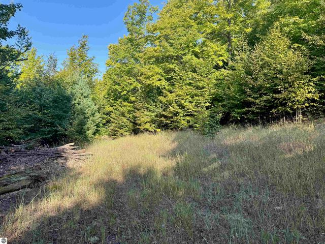 0 W Timber Wolf Court, Empire, MI 49630