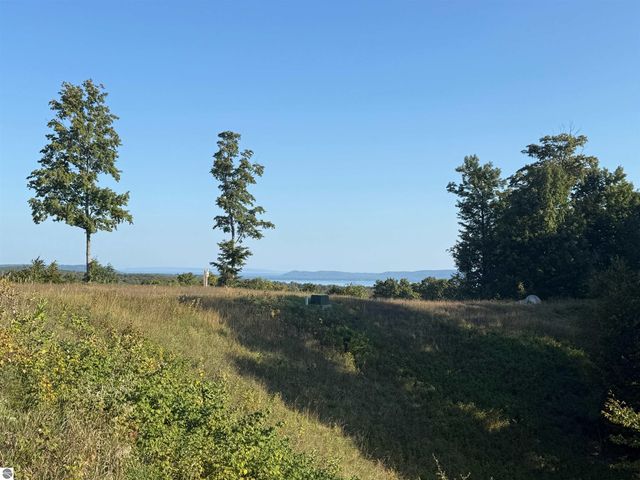 0 W Timber Wolf Court, Empire, MI 49630