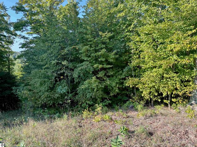 0 W Timber Wolf Court, Empire, MI 49630