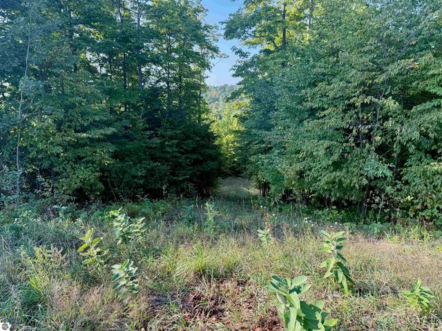 0 W Timber Wolf Court, Empire, MI 49630