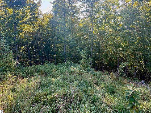 0 W Timber Wolf Court, Empire, MI 49630