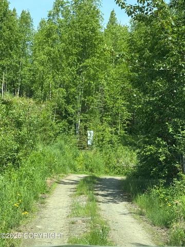 14045 W Aero Lane, Big Lake, AK 99623