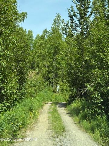 14045 W Aero Lane, Big Lake, AK 99623