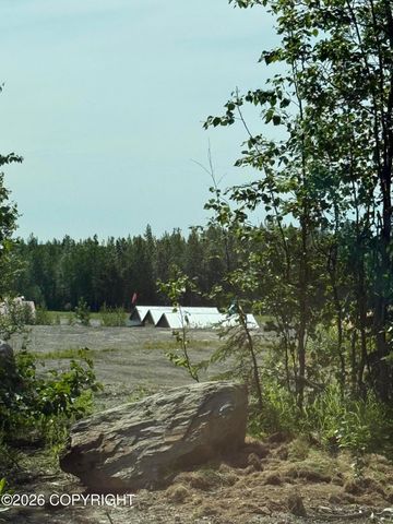 14045 W Aero Lane, Big Lake, AK 99623