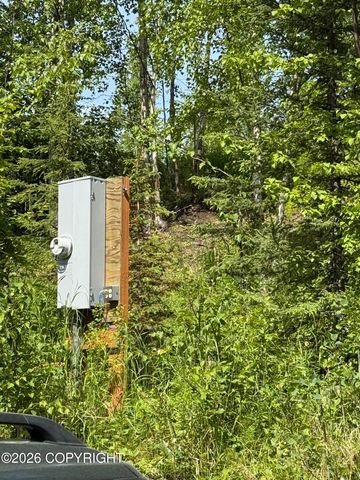 14045 W Aero Lane, Big Lake, AK 99623