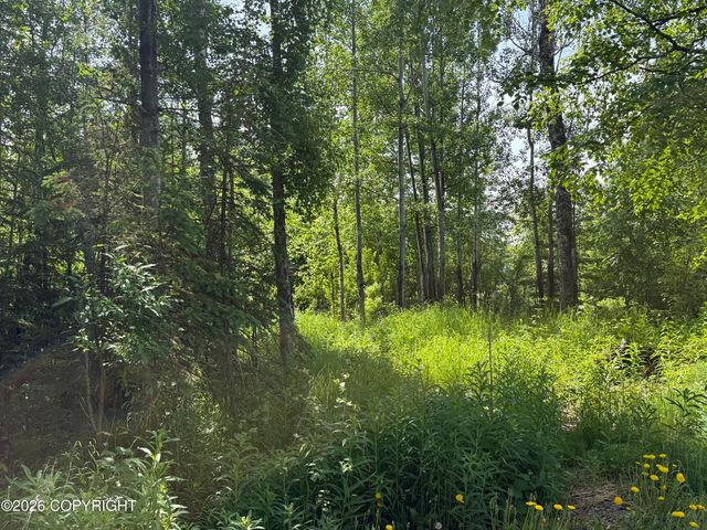 14045 W Aero Lane, Big Lake, AK 99623