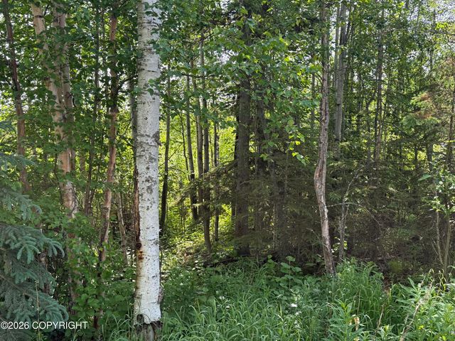 14045 W Aero Lane, Big Lake, AK 99623