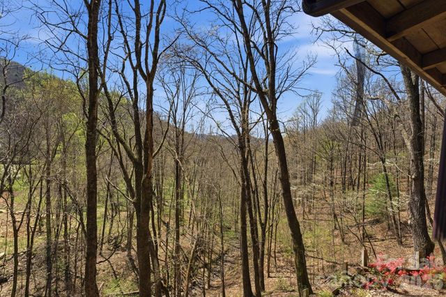 1837 E Alarka Road, Bryson City, NC 28713