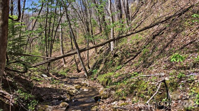 1837 E Alarka Road, Bryson City, NC 28713