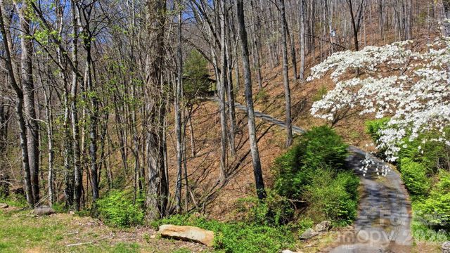 1837 E Alarka Road, Bryson City, NC 28713