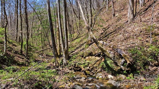 1837 E Alarka Road, Bryson City, NC 28713