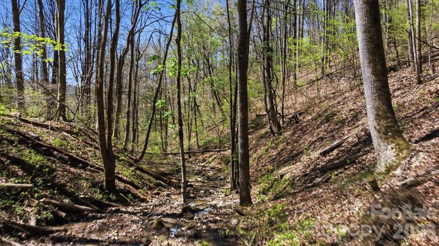 1837 E Alarka Road, Bryson City, NC 28713