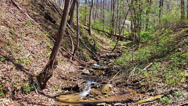 1837 E Alarka Road, Bryson City, NC 28713