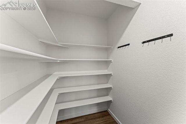 16269 Alpine Sorrel Drive, Monument, CO 80132