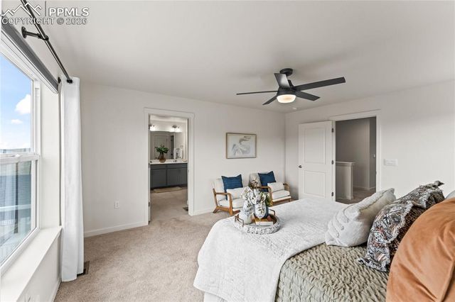 16269 Alpine Sorrel Drive, Monument, CO 80132