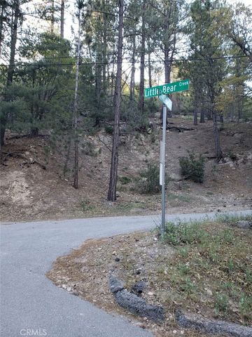 29531 Little Bear Creek Road, Cedar Glen, CA 92321